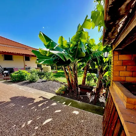 Апартаменты O Cantinho Do Ze Фуншал