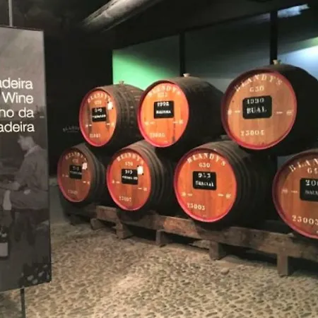 Апартаменты O Cantinho Do Ze Фуншал