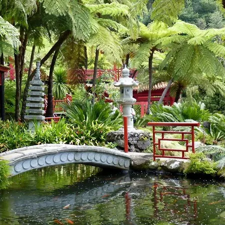 O Cantinho Do Ze Апартаменты *