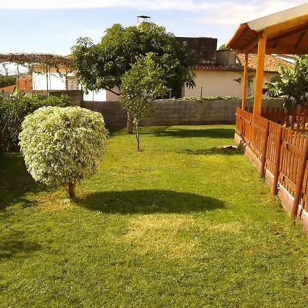 O Cantinho Do Ze Funchal (Madeira)