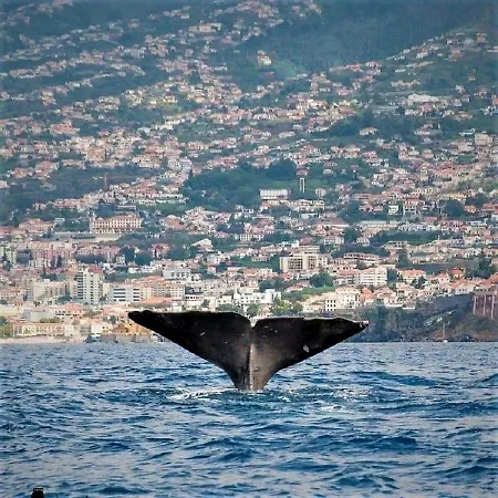 O Cantinho Do Ze Daire