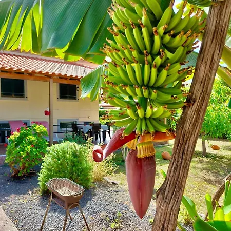 Lägenhet O Cantinho Do Ze Funchal (Madeira)