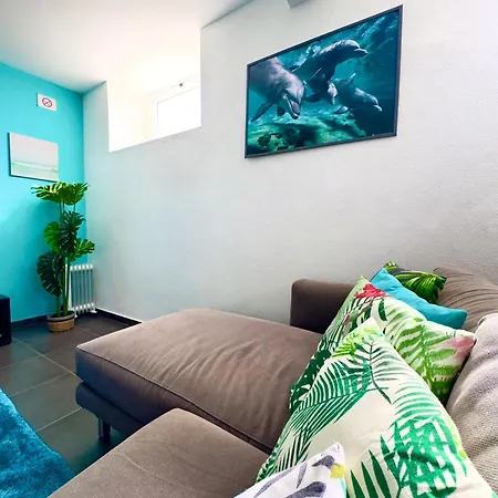Apartment O Cantinho Do Ze *