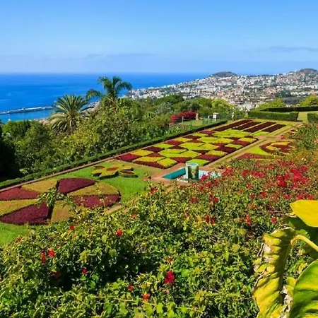 Apartament O Cantinho Do Ze Funchal (Madeira)