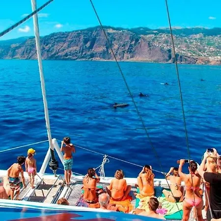 O Cantinho Do Ze * Funchal (Madeira)