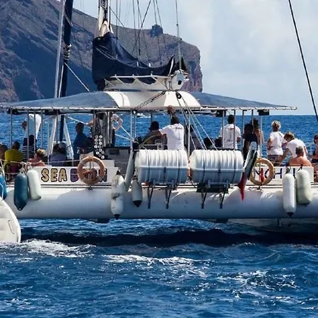 O Cantinho Do Ze Lägenhet *