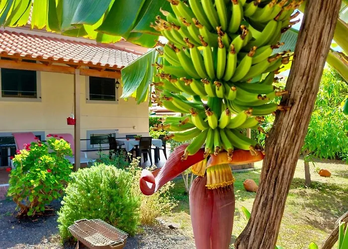 Διαμέρισμα O Cantinho Do Ze Φουνκάλ