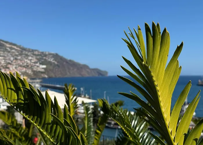 Διαμέρισμα O Cantinho Do Ze Φουνκάλ